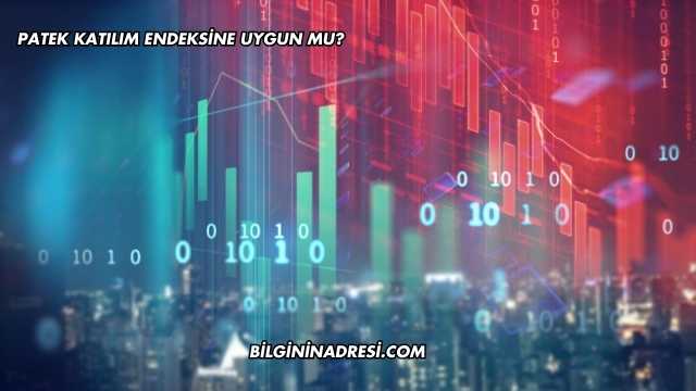 Patek Katılım Endeksine Uygun mu?