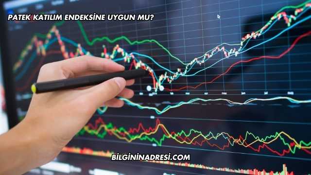 Patek Katılım Endeksine Uygun mu?