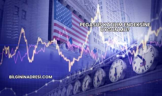 Pegasus Katılım Endeksine Uygun mu?