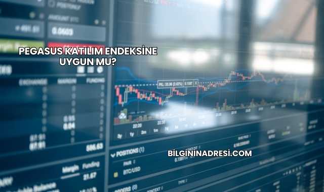 Pegasus Katılım Endeksine Uygun mu?
