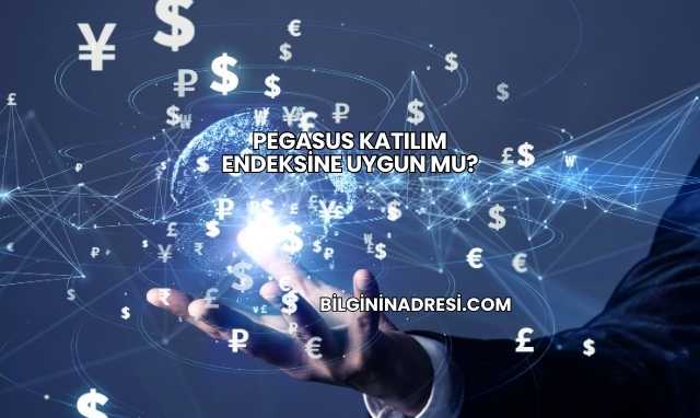 Pegasus Katılım Endeksine Uygun mu?