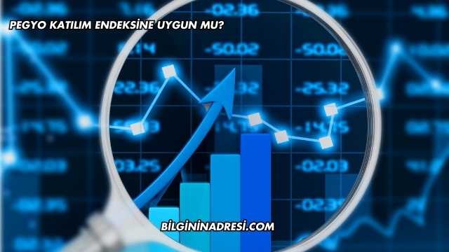 Pegyo Katılım Endeksine Uygun mu?
