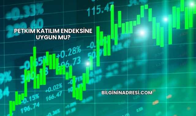 Petkim Katılım Endeksine Uygun mu?