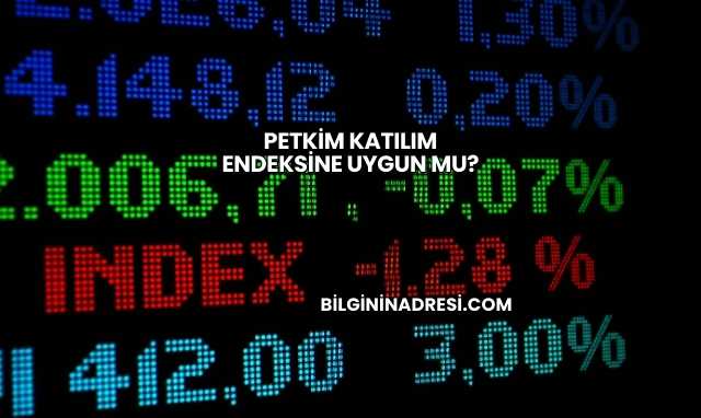 Petkim Katılım Endeksine Uygun mu?