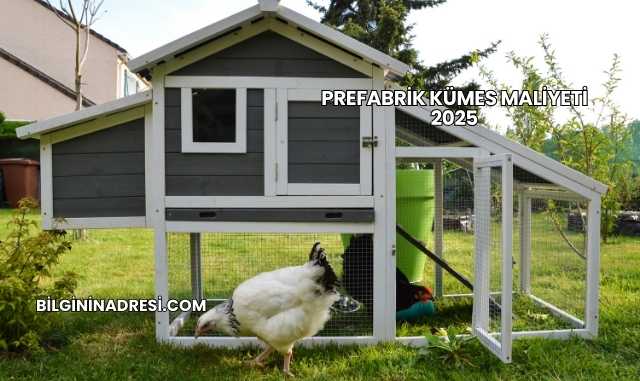 Prefabrik Kümes Maliyeti 2025