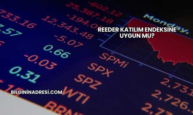 Reeder Katılım Endeksine Uygun mu?