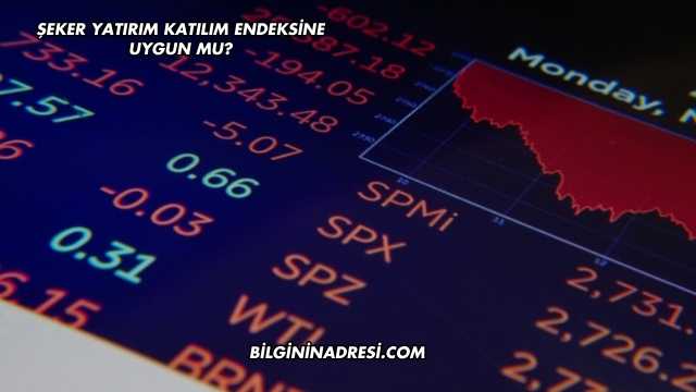 Şeker Yatırım Katılım Endeksine Uygun mu?