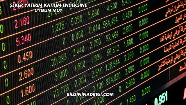 Şeker Yatırım Katılım Endeksine Uygun mu?