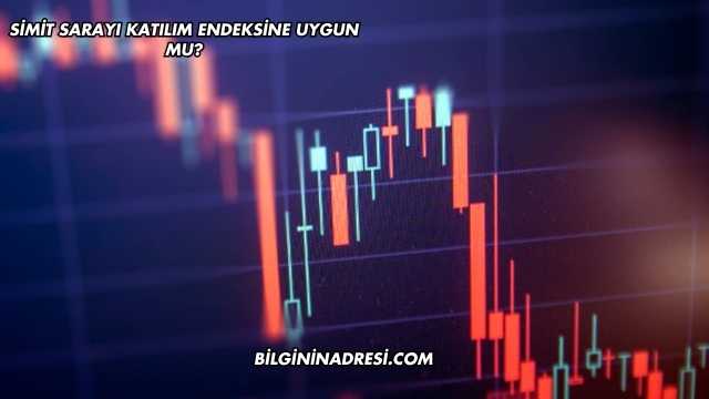 Simit Sarayı Katılım Endeksine Uygun mu?