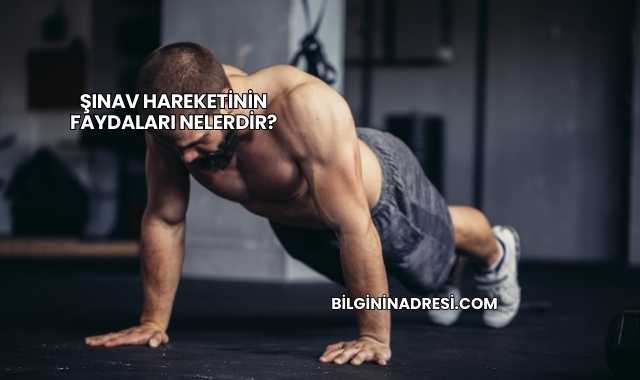 Şınav Hareketinin Faydaları Nelerdir?