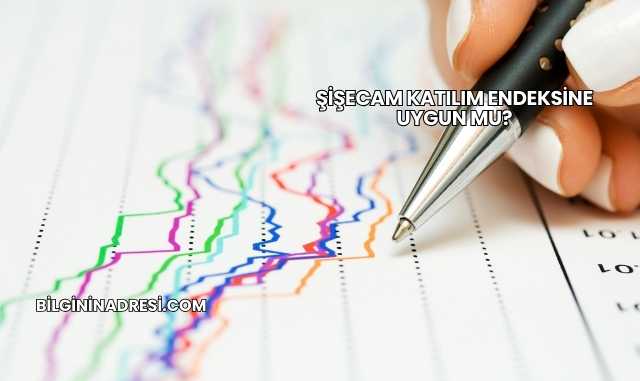 Şişecam Katılım Endeksine Uygun mu?