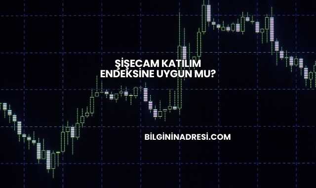 Şişecam Katılım Endeksine Uygun mu?