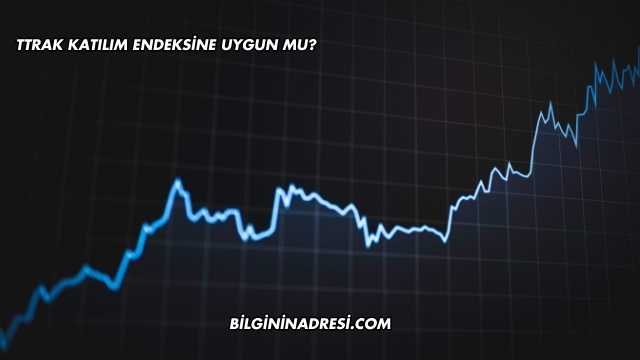 TTRAK Katılım Endeksine Uygun mu?