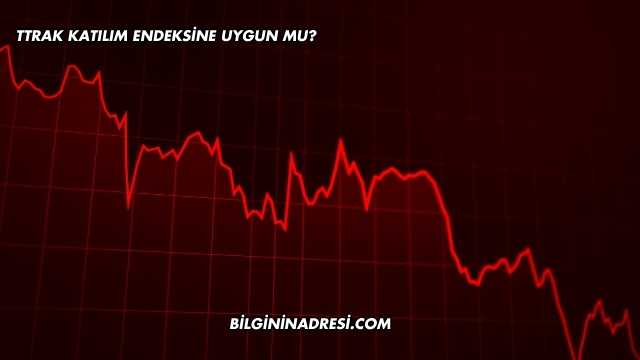 TTRAK Katılım Endeksine Uygun mu?