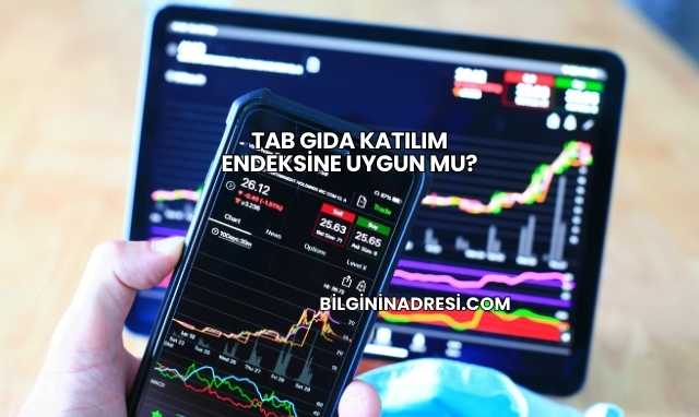 Tab Gıda Katılım Endeksine Uygun mu?