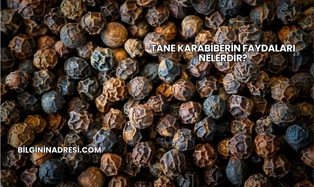 Tane Karabiberin Faydaları Nelerdir?