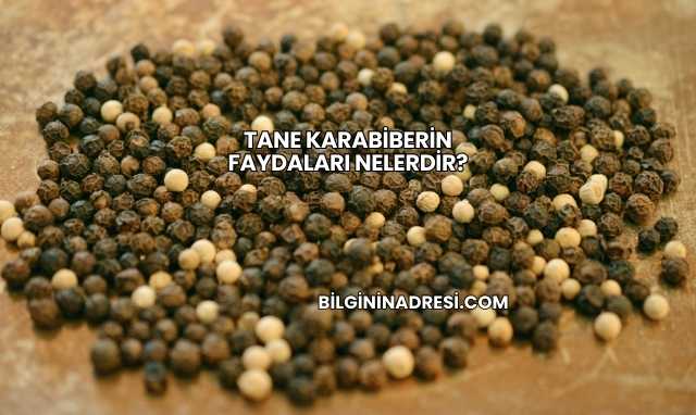 Tane Karabiberin Faydaları Nelerdir?