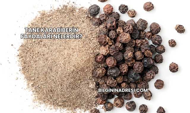 Tane Karabiberin Faydaları Nelerdir?