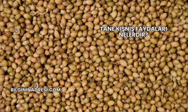 Tane Kişniş Faydaları Nelerdir?