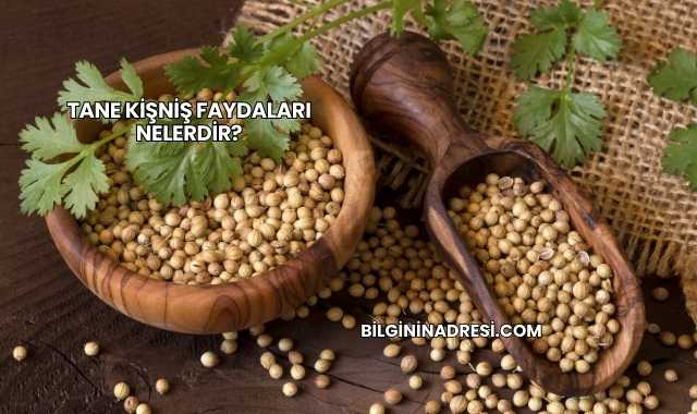 Tane Kişniş Faydaları Nelerdir?