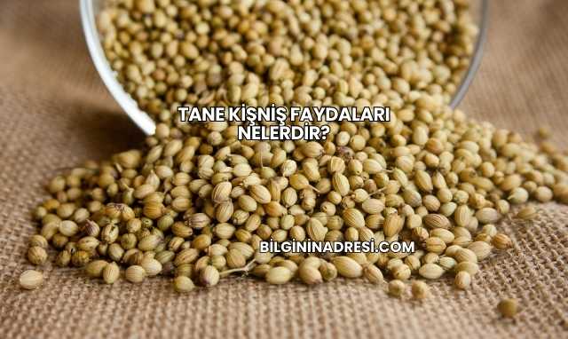Tane Kişniş Faydaları Nelerdir?
