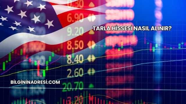 Tarla Hissesi Nasıl Alınır?
