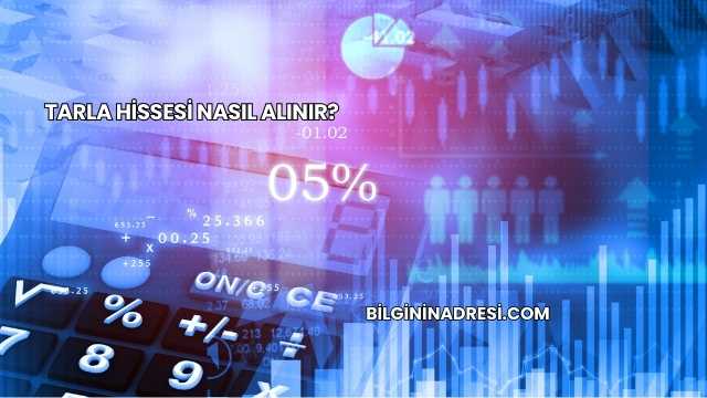 Tarla Hissesi Nasıl Alınır?