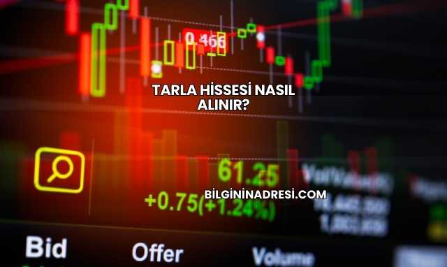 Tarla Hissesi Nasıl Alınır?