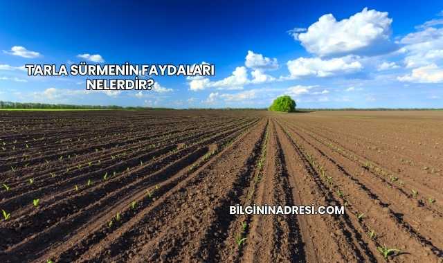Tarla Sürmenin Faydaları Nelerdir?