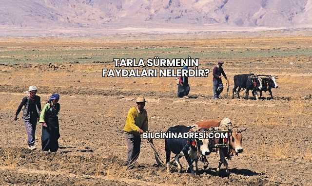 Tarla Sürmenin Faydaları Nelerdir?