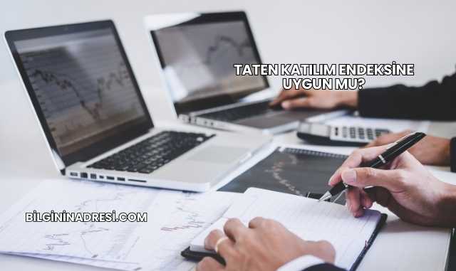 Taten Katılım Endeksine Uygun mu?