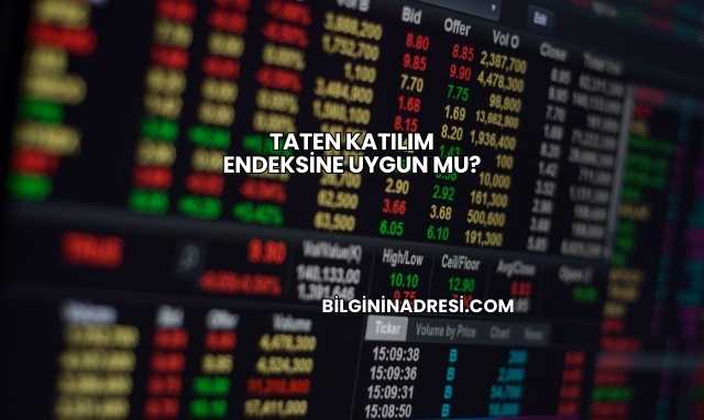 Taten Katılım Endeksine Uygun mu?