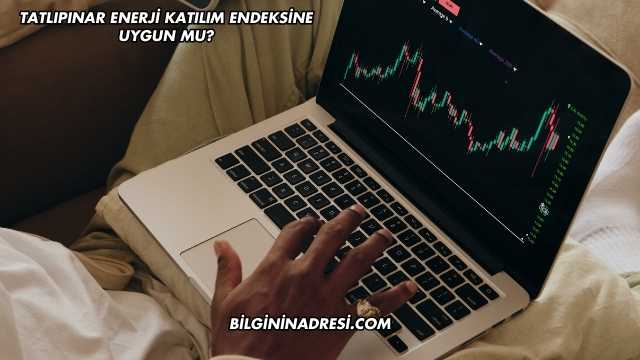 Tatlıpınar Enerji Katılım Endeksine Uygun mu?