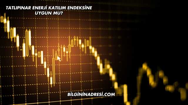Tatlıpınar Enerji Katılım Endeksine Uygun mu?
