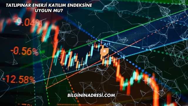 Tatlıpınar Enerji Katılım Endeksine Uygun mu?
