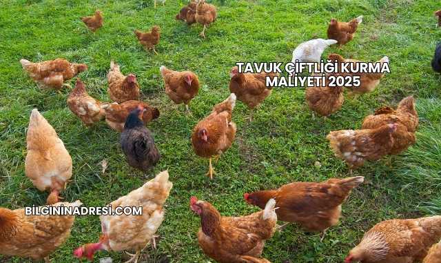 Tavuk Çiftliği Kurma Maliyeti 2025