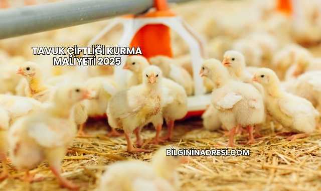 Tavuk Çiftliği Kurma Maliyeti 2025