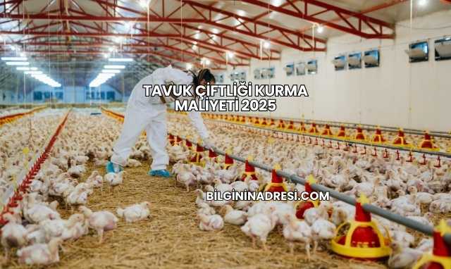 Tavuk Çiftliği Kurma Maliyeti 2025