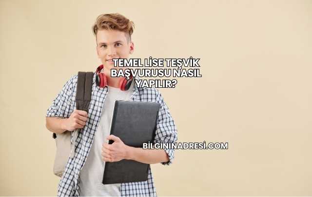 Temel Lise Teşvik Başvurusu Nasıl Yapılır?