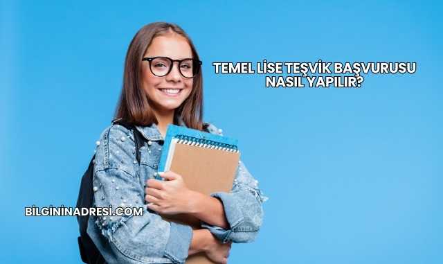 Temel Lise Teşvik Başvurusu Nasıl Yapılır?