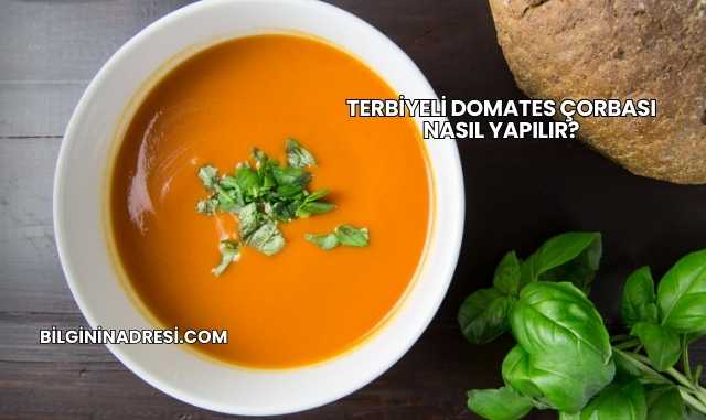 Terbiyeli Domates Çorbası Nasıl Yapılır?
