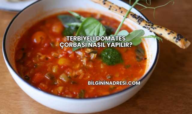 Terbiyeli Domates Çorbası Nasıl Yapılır?