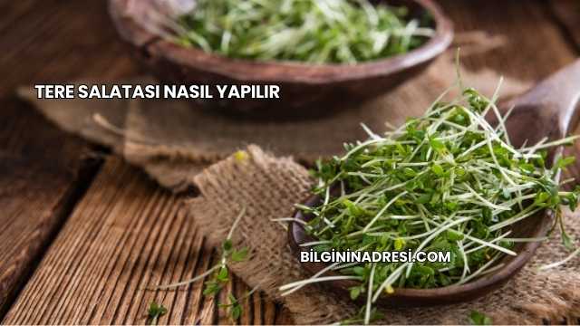 Tere Salatası Nasıl Yapılır