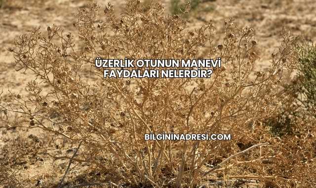 Üzerlik Otunun Manevi Faydaları Nelerdir?