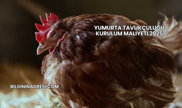 Yumurta Tavukçuluğu Kurulum Maliyeti 2025