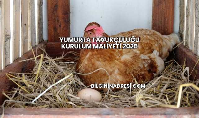 Yumurta Tavukçuluğu Kurulum Maliyeti 2025