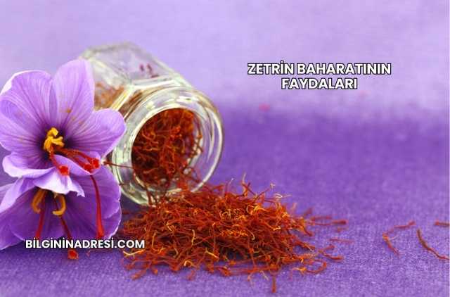 Zetrin Baharatının Faydaları