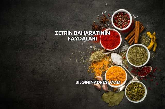Zetrin Baharatının Faydaları