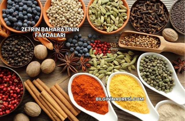 Zetrin Baharatının Faydaları