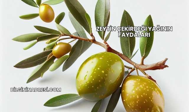 Zeytin Çekirdeği Yağının Faydaları